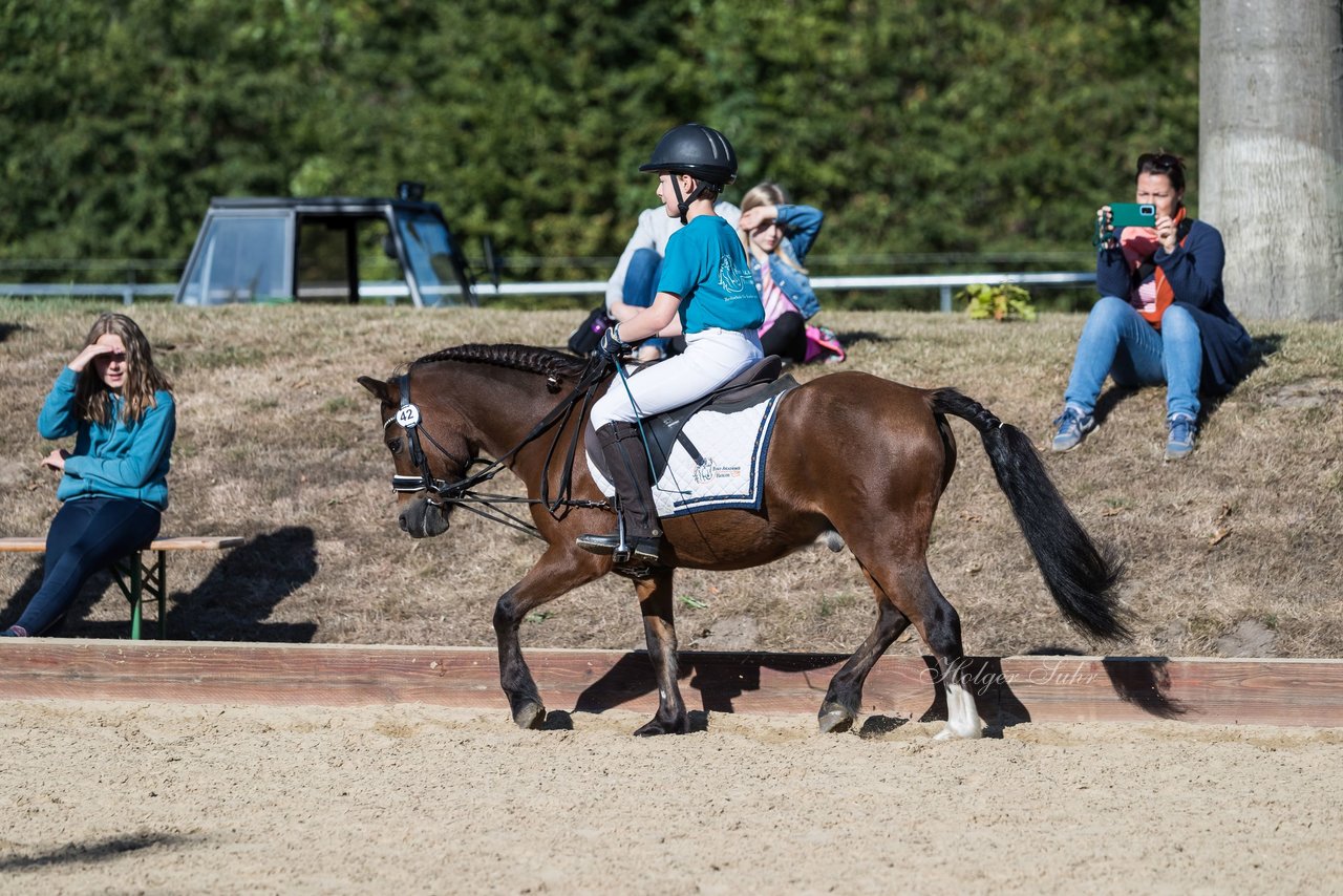 Bild 23 - Pony Akademie Turnier